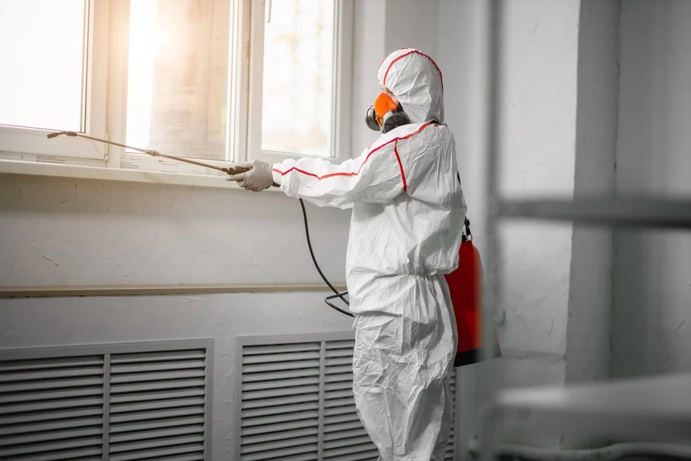 Professional mold remediation services in Evergreen Park, IL